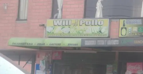 WILL POLLO WILL POLLO